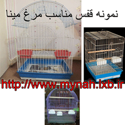 قفس مناسب مرغ مینا www.mynah.lxb.ir  سایت تخصصی نگهداری و آموزش مرغ  مینا